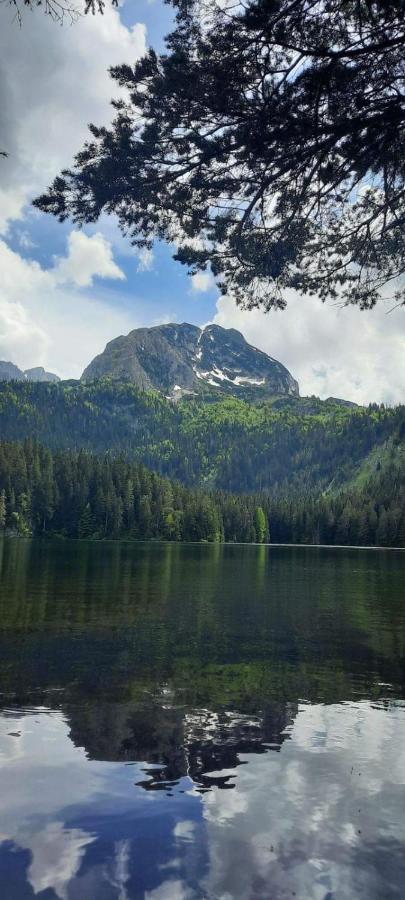 Magic Corner * Zabljak (Zabljak)